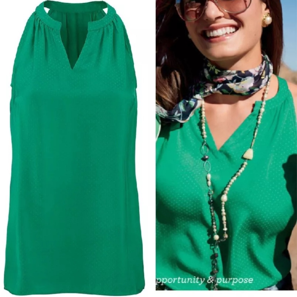 CAbi Lush Blouse Small
